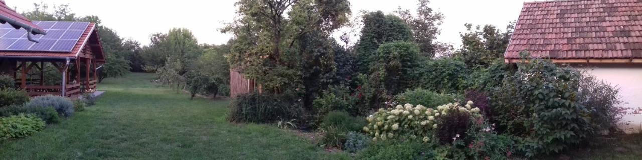 Rigofuetty Vendeghaz 호텔 Tiszaalpar 외부 사진
